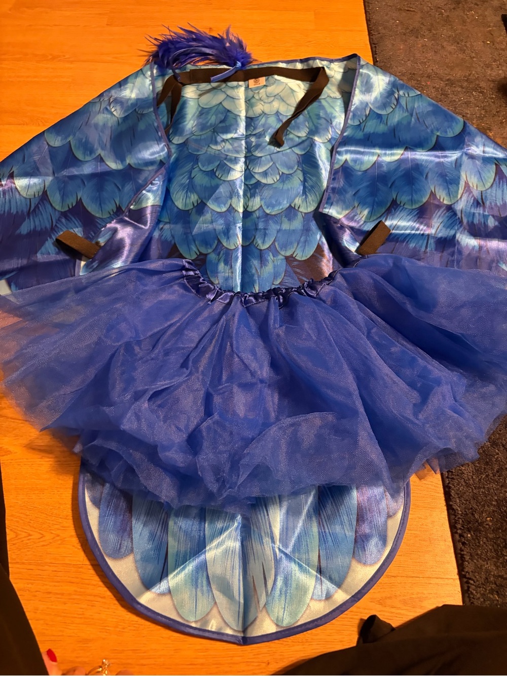 Beautiful bird Costume ! Could fit a child or adult!